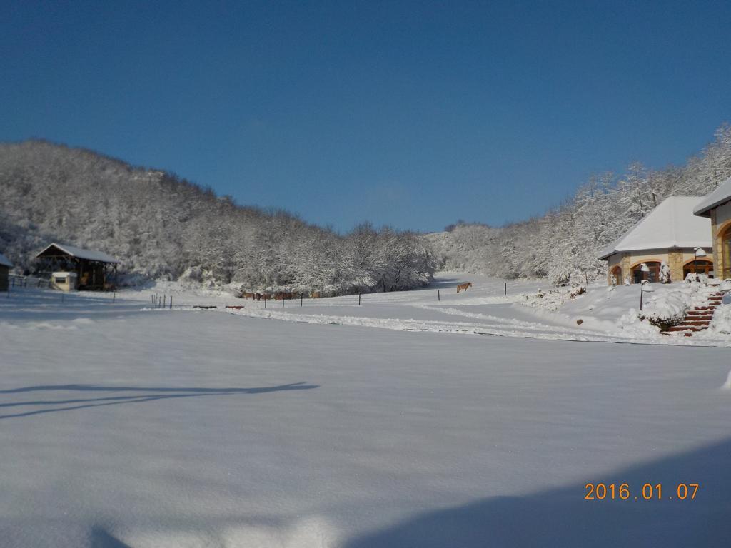 Bed and Breakfast Naspolya Panzio Es Etterem à Bátaapáti Extérieur photo